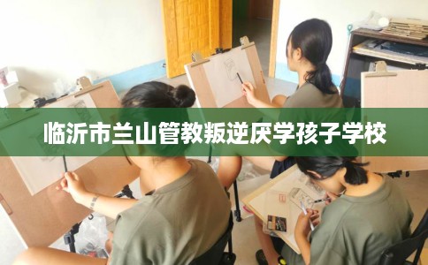 临沂市兰山管教叛逆厌学孩子学校 临沂市兰山管教叛逆厌学孩子学校