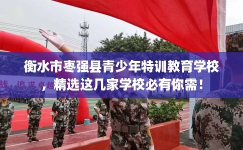 衡水市枣强县青少年特训教育学校,精选这几家学校必有你需! 衡水市枣强县青少年特训教育学校,精选这几家学校必有你需!