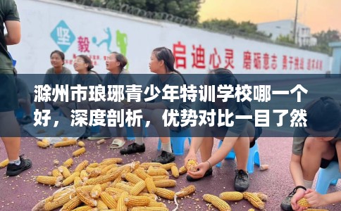 滁州市琅琊青少年特训学校哪一个好,深度剖析,优势对比一目了然! 滁州市琅琊青少年特训学校哪一个好,深度剖析,优势对比一目了然!