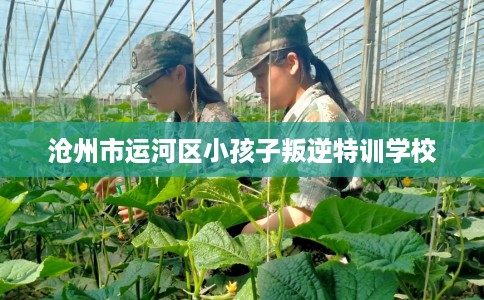 沧州市运河区小孩子叛逆特训学校 沧州市运河区小孩子叛逆特训学校
