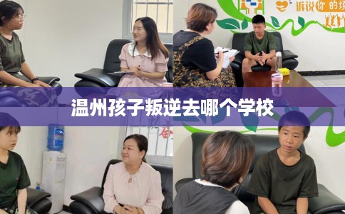 温州孩子叛逆去哪个学校 温州孩子叛逆去哪个学校