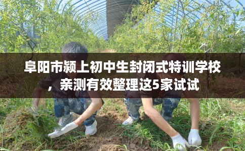 阜阳市颍上初中生封闭式特训学校,亲测有效整理这5家试试 阜阳市颍上初中生封闭式特训学校,亲测有效整理这5家试试