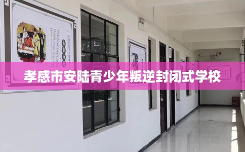 孝感市安陆青少年叛逆封闭式学校