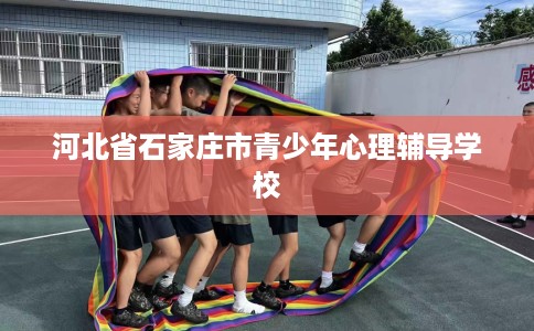 河北省石家庄市青少年心理辅导学校 河北省石家庄市青少年心理辅导学校