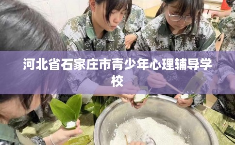 河北省石家庄市青少年心理辅导学校 河北省石家庄市青少年心理辅导学校
