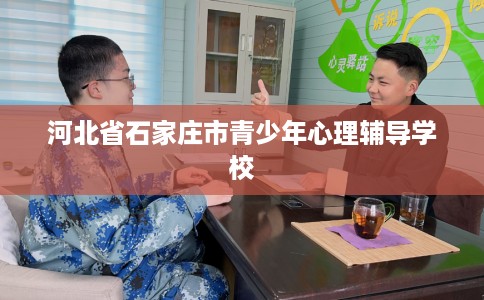 河北省石家庄市青少年心理辅导学校 河北省石家庄市青少年心理辅导学校