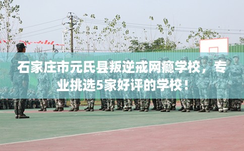 石家庄市元氏县叛逆戒网瘾学校，专业挑选5家好评的学校！