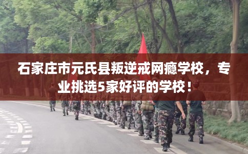 石家庄市元氏县叛逆戒网瘾学校，专业挑选5家好评的学校！