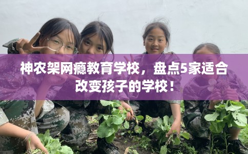 神农架网瘾教育学校,盘点5家适合改变孩子的学校! 神农架网瘾教育学校,盘点5家适合改变孩子的学校!