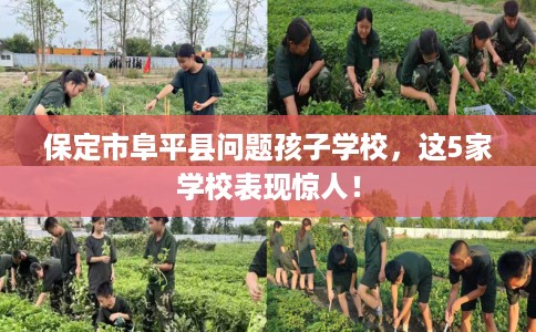 保定市阜平县问题孩子学校,这5家学校表现惊人! 保定市阜平县问题孩子学校,这5家学校表现惊人!