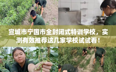 宣城市宁国市全封闭式特训学校,实测有效推荐这几家学校试试看! 宣城市宁国市全封闭式特训学校,实测有效推荐这几家学校试试看!