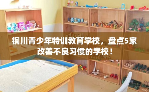 铜川青少年特训教育学校,盘点5家改善不良习惯的学校! 铜川青少年特训教育学校,盘点5家改善不良习惯的学校!