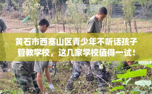 黄石市西塞山区青少年不听话孩子管教学校,这几家学校值得一试! 黄石市西塞山区青少年不听话孩子管教学校,这几家学校值得一试!
