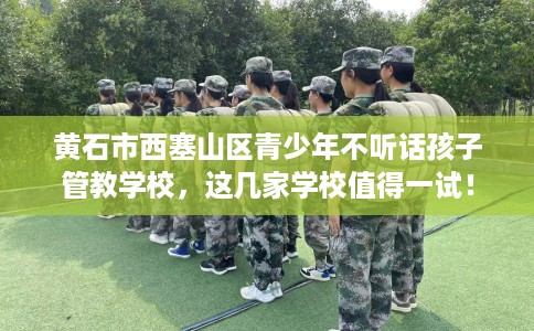 黄石市西塞山区青少年不听话孩子管教学校,这几家学校值得一试! 黄石市西塞山区青少年不听话孩子管教学校,这几家学校值得一试!