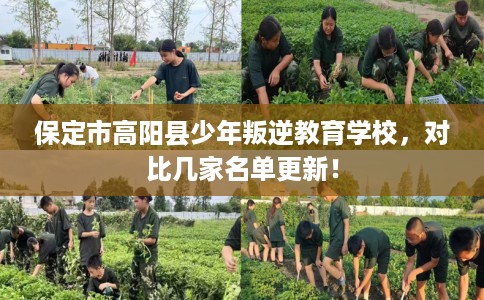 保定市高阳县少年叛逆教育学校,对比几家名单更新! 保定市高阳县少年叛逆教育学校,对比几家名单更新!