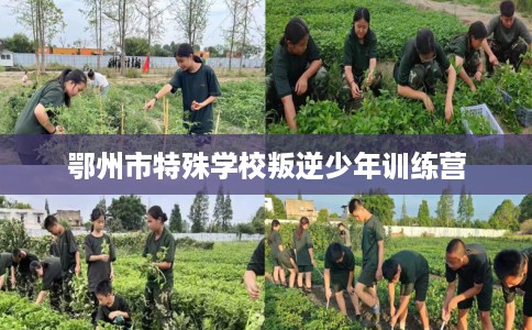 鄂州市特殊学校叛逆少年训练营 鄂州市特殊学校叛逆少年训练营