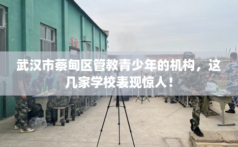 武汉市蔡甸区管教青少年的机构,这几家学校表现惊人! 武汉市蔡甸区管教青少年的机构,这几家学校表现惊人!