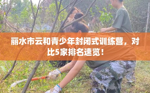 丽水市云和青少年封闭式训练营,对比5家排名速览! 丽水市云和青少年封闭式训练营,对比5家排名速览!