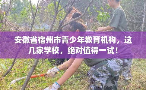 安徽省宿州市青少年教育机构,这几家学校,绝对值得一试! 安徽省宿州市青少年教育机构,这几家学校,绝对值得一试!
