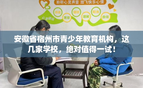 安徽省宿州市青少年教育机构,这几家学校,绝对值得一试! 安徽省宿州市青少年教育机构,这几家学校,绝对值得一试!