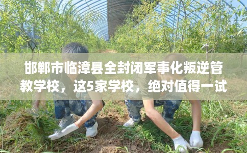 邯郸市临漳县全封闭军事化叛逆管教学校,这5家学校,绝对值得一试! 邯郸市临漳县全封闭军事化叛逆管教学校,这5家学校,绝对值得一试!
