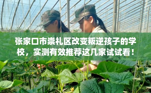 张家口市崇礼区改变叛逆孩子的学校,实测有效推荐这几家试试看! 张家口市崇礼区改变叛逆孩子的学校,实测有效推荐这几家试试看!