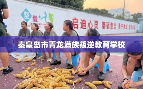 秦皇岛市青龙满族叛逆教育学校 秦皇岛市青龙满族叛逆教育学校