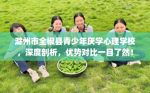 滁州市全椒县青少年厌学心理学校，深度剖析，优势对比一目了然！