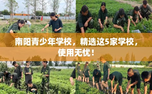 南阳青少年学校，精选这5家学校，使用无忧！