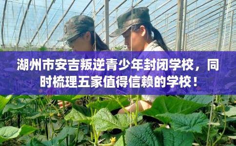 湖州市安吉叛逆青少年封闭学校,同时梳理五家值得信赖的学校! 湖州市安吉叛逆青少年封闭学校,同时梳理五家值得信赖的学校!