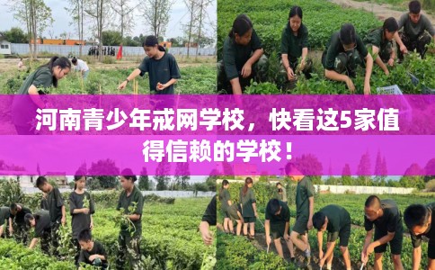 河南青少年戒网学校，快看这5家值得信赖的学校！