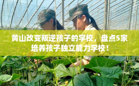 黄山改变叛逆孩子的学校,盘点5家培养孩子独立能力学校! 黄山改变叛逆孩子的学校,盘点5家培养孩子独立能力学校!