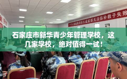 石家庄市新华青少年管理学校，这几家学校，绝对值得一试！