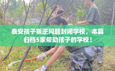 泰安孩子叛逆问题封闭学校，本篇归档5家帮助孩子的学校！