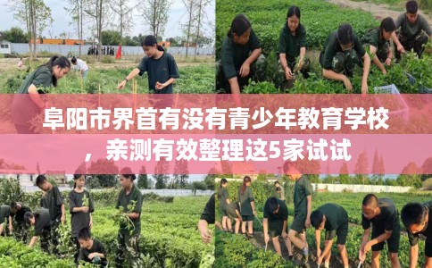 阜阳市界首有没有青少年教育学校,亲测有效整理这5家试试 阜阳市界首有没有青少年教育学校,亲测有效整理这5家试试