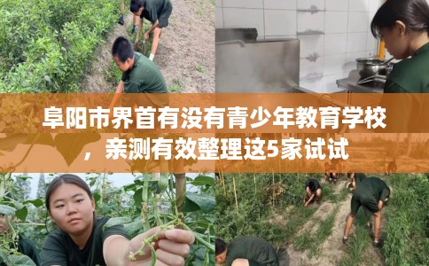 阜阳市界首有没有青少年教育学校,亲测有效整理这5家试试 阜阳市界首有没有青少年教育学校,亲测有效整理这5家试试