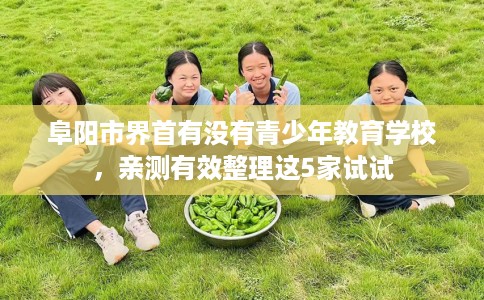 阜阳市界首有没有青少年教育学校,亲测有效整理这5家试试 阜阳市界首有没有青少年教育学校,亲测有效整理这5家试试