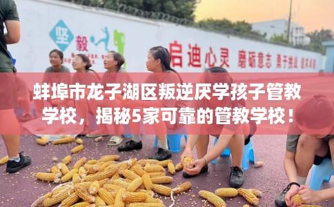 蚌埠市龙子湖区叛逆厌学孩子管教学校,揭秘5家可靠的管教学校! 蚌埠市龙子湖区叛逆厌学孩子管教学校,揭秘5家可靠的管教学校!