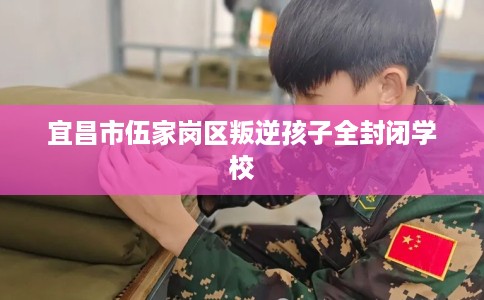 宜昌市伍家岗区叛逆孩子全封闭学校 宜昌市伍家岗区叛逆孩子全封闭学校