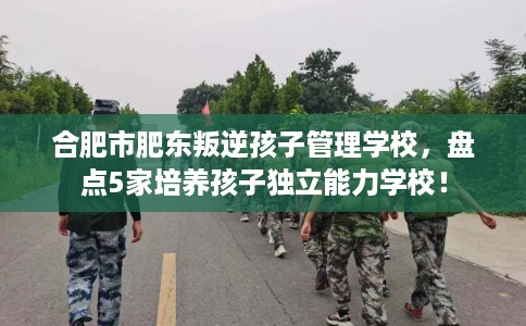 合肥市肥东叛逆孩子管理学校,盘点5家培养孩子独立能力学校! 合肥市肥东叛逆孩子管理学校,盘点5家培养孩子独立能力学校!