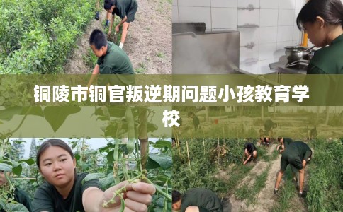 铜陵市铜官叛逆期问题小孩教育学校 铜陵市铜官叛逆期问题小孩教育学校