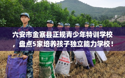 六安市金寨县正规青少年特训学校,盘点5家培养孩子独立能力学校! 六安市金寨县正规青少年特训学校,盘点5家培养孩子独立能力学校!