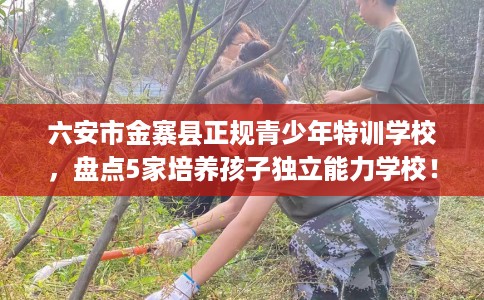 六安市金寨县正规青少年特训学校,盘点5家培养孩子独立能力学校! 六安市金寨县正规青少年特训学校,盘点5家培养孩子独立能力学校!