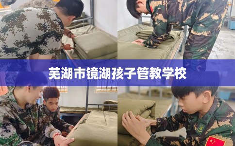 芜湖市镜湖孩子管教学校 芜湖市镜湖孩子管教学校