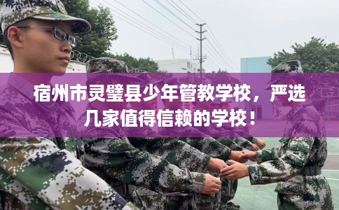 宿州市灵璧县少年管教学校，严选几家值得信赖的学校！