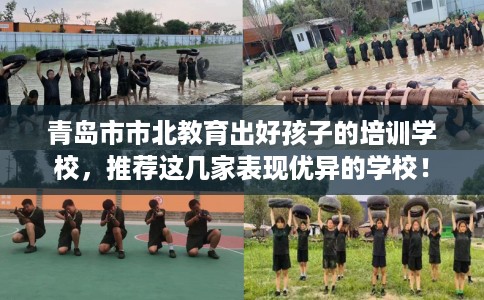 青岛市市北教育出好孩子的培训学校,推荐这几家表现优异的学校! 青岛市市北教育出好孩子的培训学校,推荐这几家表现优异的学校!