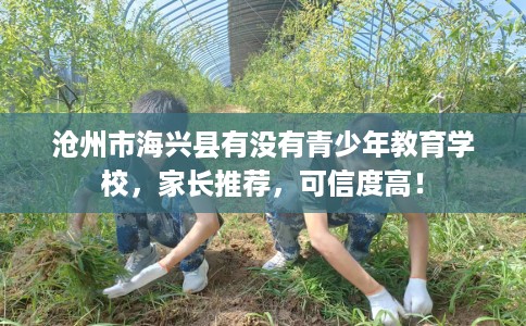 沧州市海兴县有没有青少年教育学校，家长推荐，可信度高！