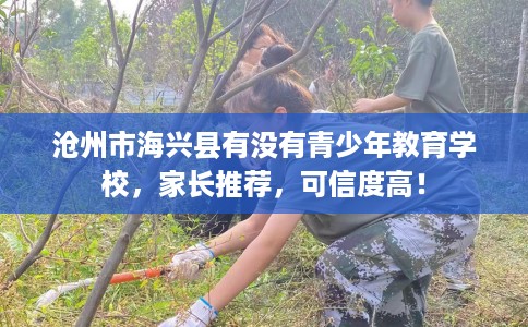 沧州市海兴县有没有青少年教育学校，家长推荐，可信度高！