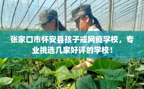 张家口市怀安县孩子戒网瘾学校,专业挑选几家好评的学校! 张家口市怀安县孩子戒网瘾学校,专业挑选几家好评的学校!