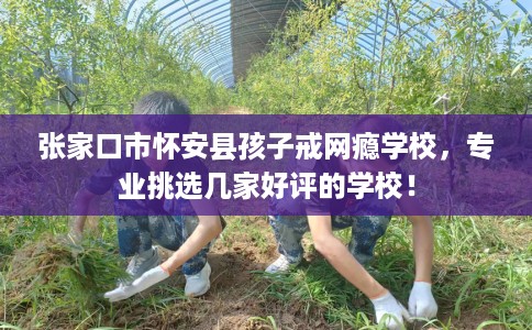 张家口市怀安县孩子戒网瘾学校,专业挑选几家好评的学校! 张家口市怀安县孩子戒网瘾学校,专业挑选几家好评的学校!